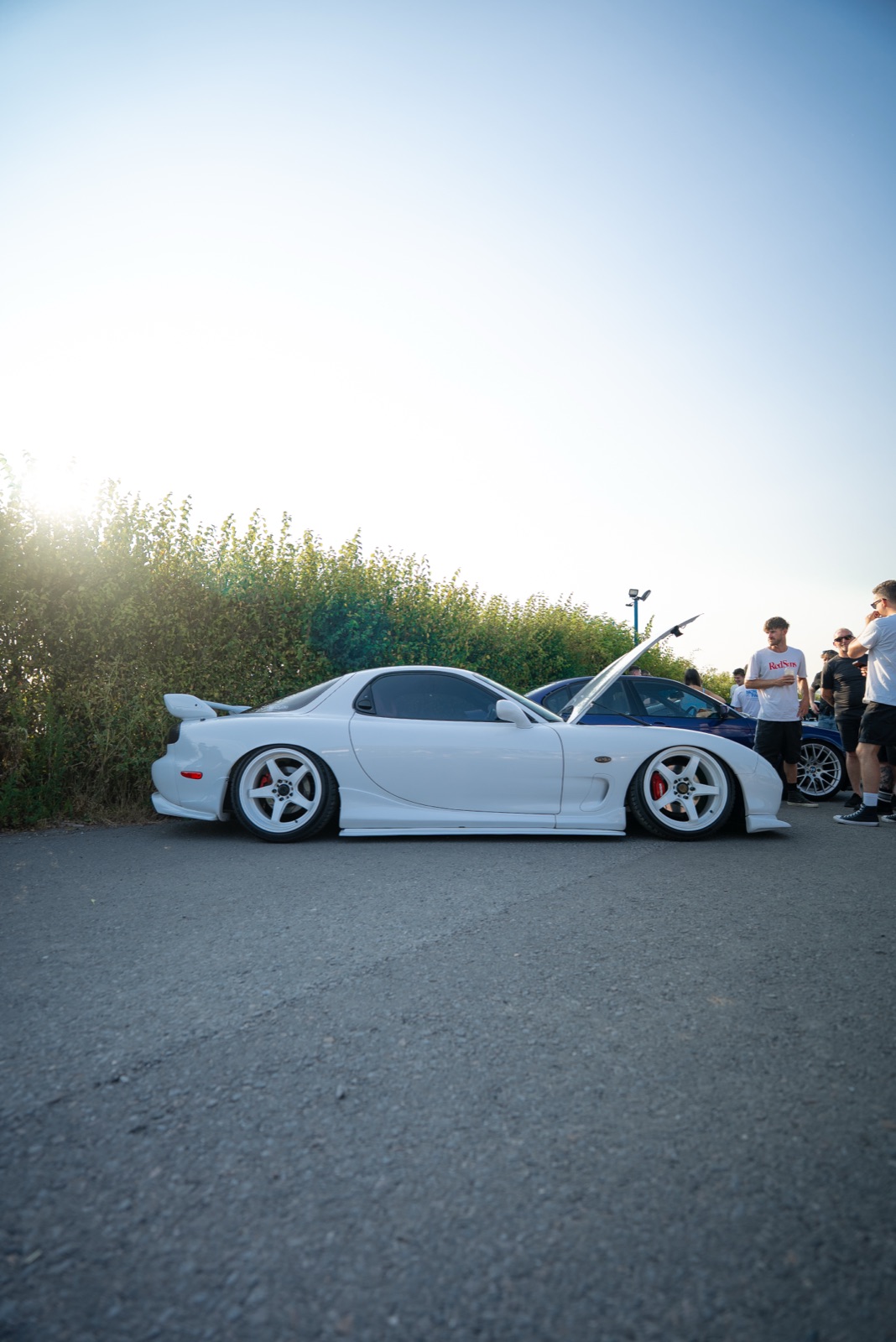 Cars & Cuppas July evening meet — cars and golden-hour atmosphere, photo 11