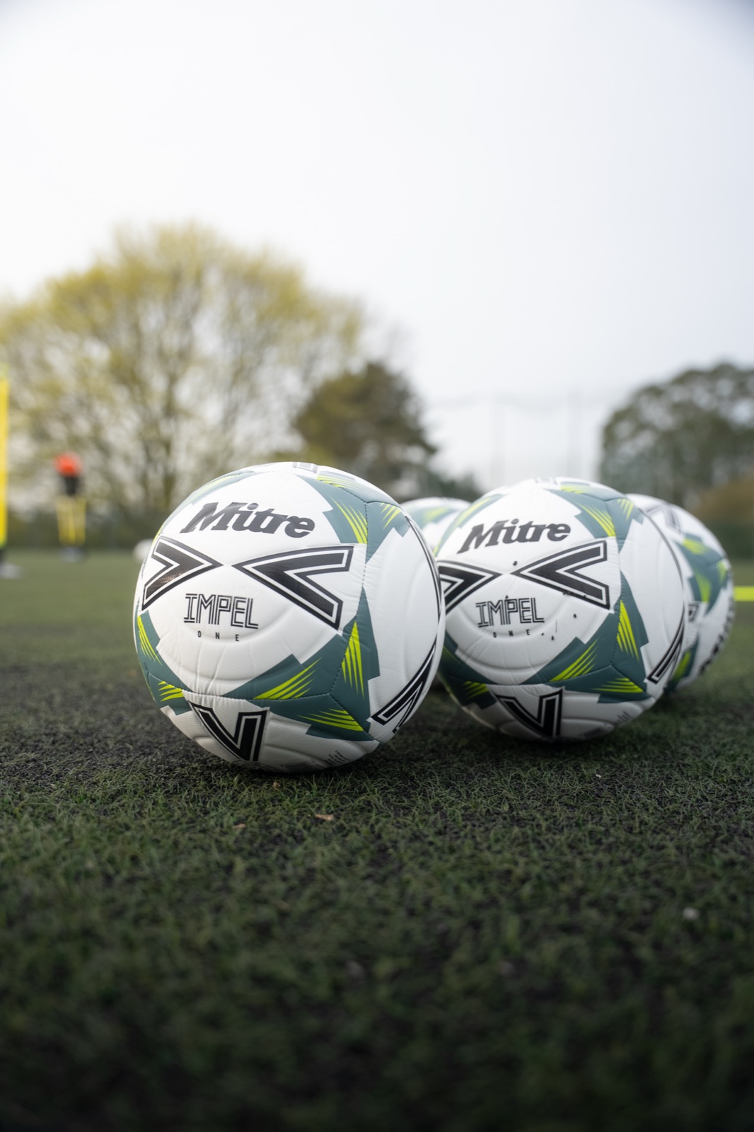 Total Ball Coaching — youth and adult sessions